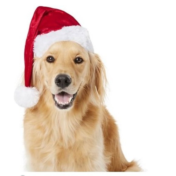 NWT Frisco Deluxe Holiday Dog & Cat Santa Hat Size XL/XXL - Picture 1 of 5